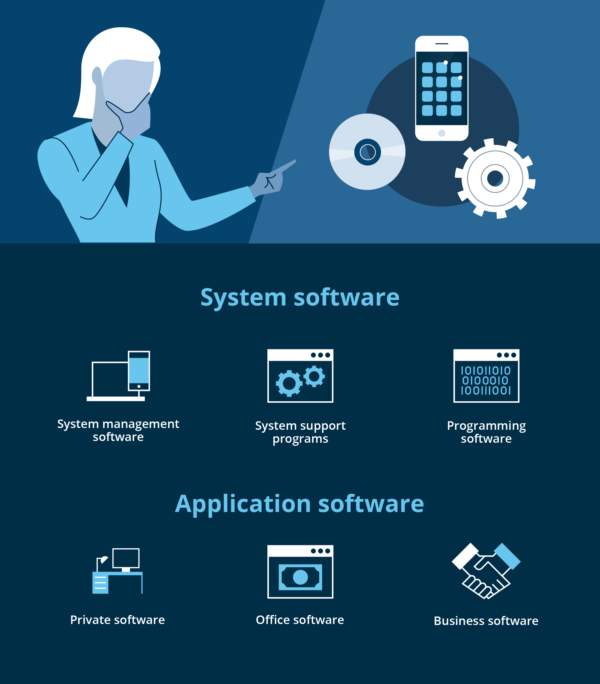 A tall infographic mapping system software and application software into their sub-categories